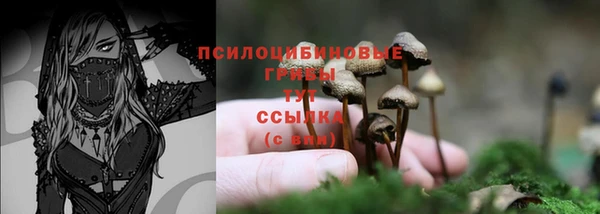 стаф Краснотурьинск