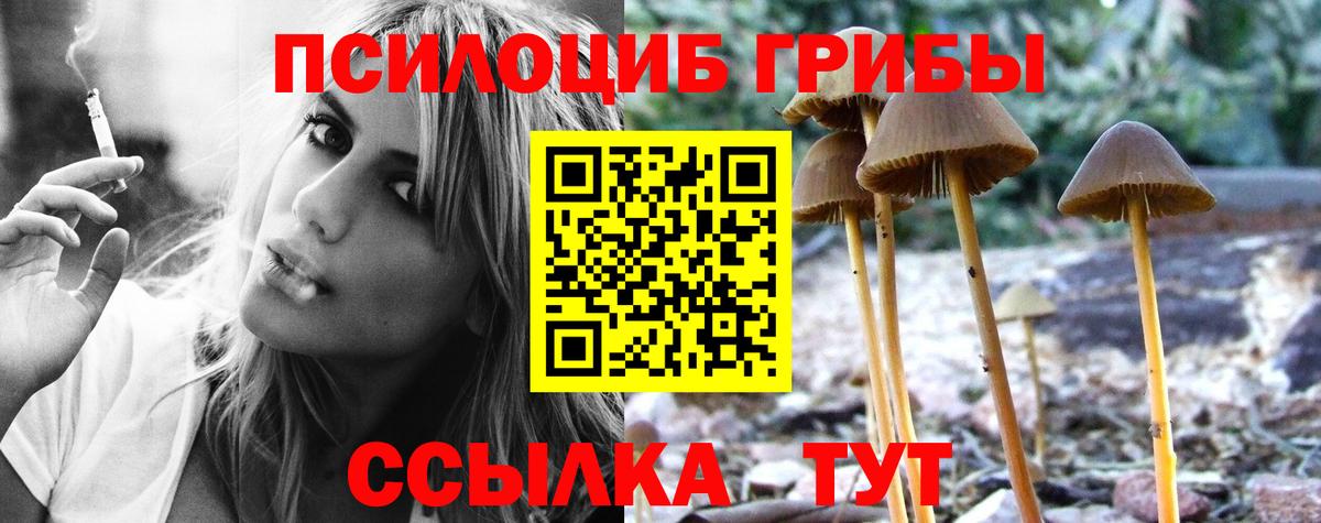 Псилоцибиновые грибы MAGIC MUSHROOMS Шахты