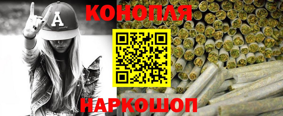 Галлюциногенные грибы Шахты